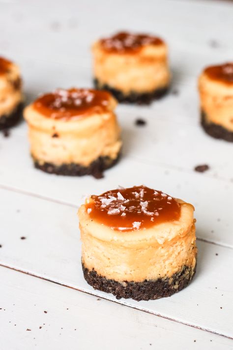 Mini Salted Caramel Cheesecakes {Gluten Free Option} - See Brooke Cook Mini Caramel Cheesecake, Carmel Desserts, Caramel Cheesecake Bites, Salted Caramel Desserts, Caramel Cheesecake Recipes, Chocolate Cookie Crust, Caramel Bites, Mini Pumpkin Cheesecake, New Year's Desserts