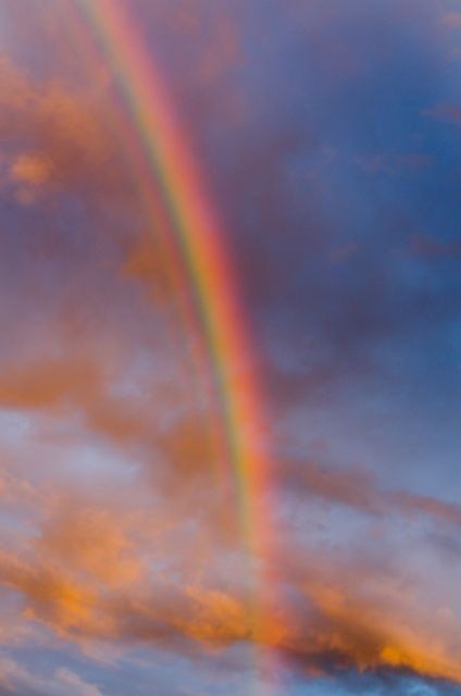 Rainbow Pictures, Rainbow Photography, Rainbow Connection, God's Promise, Double Rainbow, Rainbow Sky, Rainbow Aesthetic, Rainbow Wallpaper, Picture Collage Wall