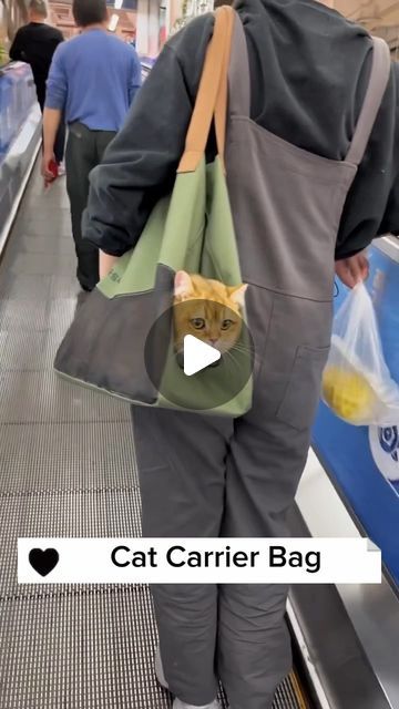 Nio Pets on Instagram: "Travel in style with our Cat Carrier Bag! 🐾✈️ Designed for comfort and convenience, this spacious bag is the purrfect way to take your feline friend on adventures. Safe, snug, and stylish – because every journey deserves a touch of feline flair! 😺👜 #CatTravel #PawsomeAdventures" Cat Carrier Bag, Cat Travel, Instagram Travel, Cat Carrier, Travel In Style, Carrier Bag, Travel Style, In Style, Feline