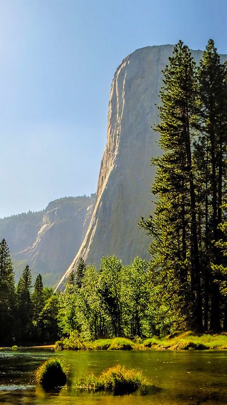 Yosemite National Park Aesthetic, Yosemite Aesthetic, National Park California, Senior Trip, Landscape Mode, Yosemite National, Alam Yang Indah, Yosemite National Park, Pretty Places