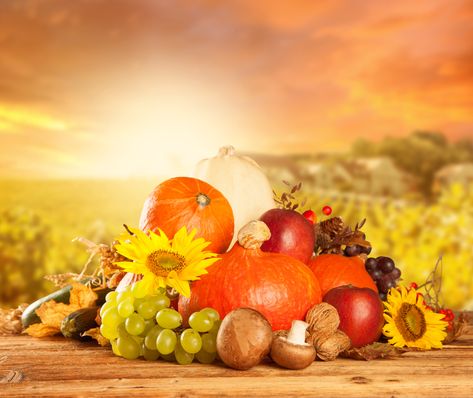 Church Harvest Festival, Thanksgiving Fruit, 10 Healthy Foods, Blue Harvest, Thanksgiving Background, Light Font, Rosé Png, Happy Birthday Art, Wallpaper Earth