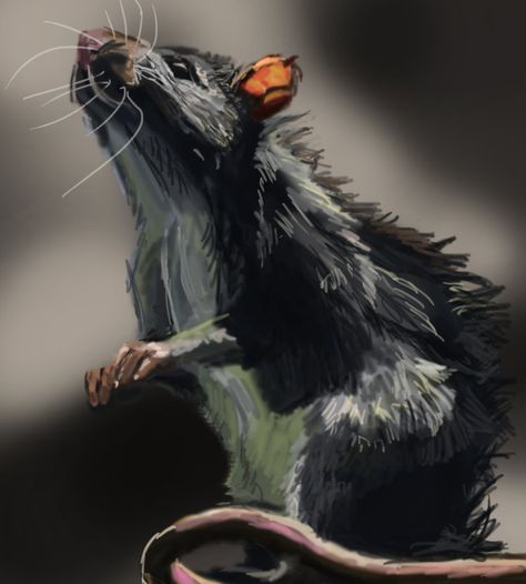 Rat Speed Painting by Inari123 Rattus Rattus, Stop Being Lazy, Being Lazy, Speed Painting, A Rat, Pet Mice, Cute Rats, Pet Rats, Speed Paint