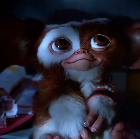 Gremlins Art, Gizmo Gremlins, Kangaroo Art, Artsy Background, Movie Screenshots, Cute Fantasy Creatures, Horror Movie Characters, Fantasy Movies, 80s Retro