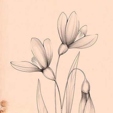 Snow Drop Tattoo Design, Fine Line Tattoo Snowdrop, Snowdrop Back Tattoo, January Snow Drop Tattoo, Fine Line Snow Drop Flower Tattoo, Snow Drop Flower, Snow Drop Tattoo, Snowdrop Flower Tattoo, Aster Flower Tattoos