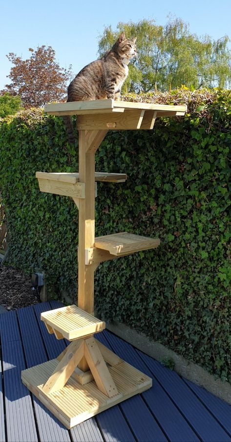 Cat Tree House Diy Ideas, Outdoor Cat Walk, Diy Outdoor Cat Tree, Cat Patio Diy, Catio For Cats, Catios For Cats Window, Cat Patio Enclosure, Catio Ideas Cat, Litter Box Ideas Hidden