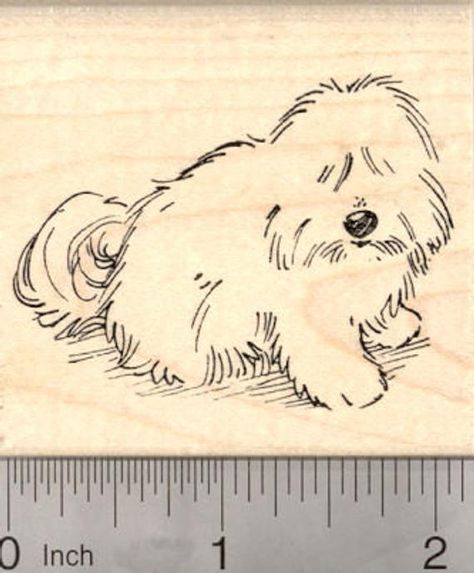 Cotton De Tulear, Coton De Tulear Dogs, Coton De Tulear, Vintage Flash, Seal Stamps, Custom Stamps, Pet Loss, Exotic Pets, Dog Art