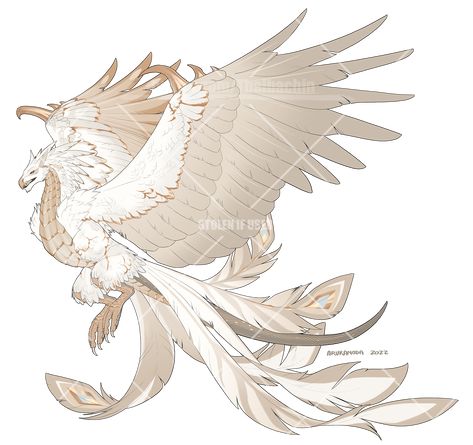 Bird Dragon Art, Avian Oc Design, Angel Dragon Art, Mythical Creatures With Wings, Mythical Winged Creatures, Fluffy Dragon, Feathered Creature Design, Bird Monster Concept Art, Angel Dragon