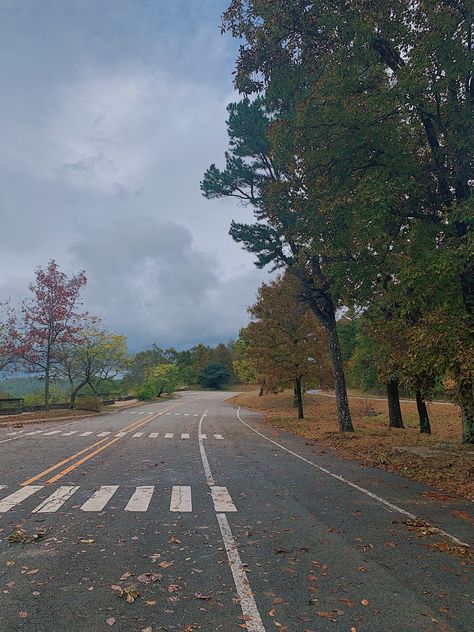 Nature, Southern Charm, Regional, Arkansas Aesthetic, Conway Arkansas, Arkansas City, Mountain Road, January 11, Local History