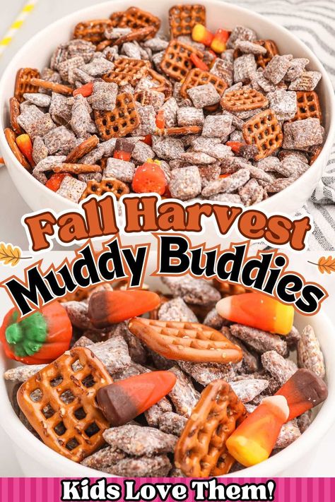 Fall Harvest Muddy Buddies, often called fall puppy chow Chex Mix, is a family favorite munchable, crunchable, sweet, and salty snack with a Fall twist. This quick and easy no-bake recipe can be made in 15 minutes simply by coating Chex cereal with chocolate chips, peanut butter, butter, and powdered sugar, and tossing in candy corn and your favorite Halloween treats. Halloween Muddy Buddies Puppy Chow, Fall Puppy Chow Chex Mix Recipe, Autumn Mix Candy Corn, Sweet And Salty Puppy Chow, Autumn Puppy Chow, Candy Corn Halloween Treats, Fall Snack Mix With Candy Corn, Cereal Snacks Mix Recipes, Halloween Candy Mix Ideas