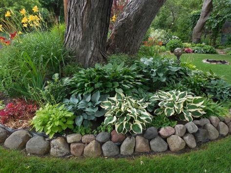 Landscape Edging Stone, Shade Landscaping, Landscaping Around Trees, Hosta Gardens, Rock Garden Landscaping, Have Inspiration, Garden Yard Ideas, Front Yard Garden, Front Yard Landscaping Design