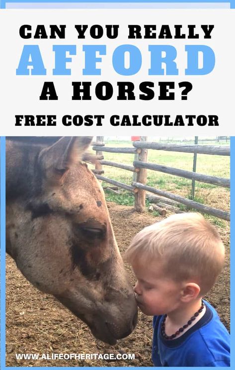 Can You Really Afford a New Horse Right Now? Horse Ownership, Buy A Horse, Cost Calculator, Majestic Horses, Horse Care Tips, Horse Facts, Horse Info, Free Horses, Horse Tips