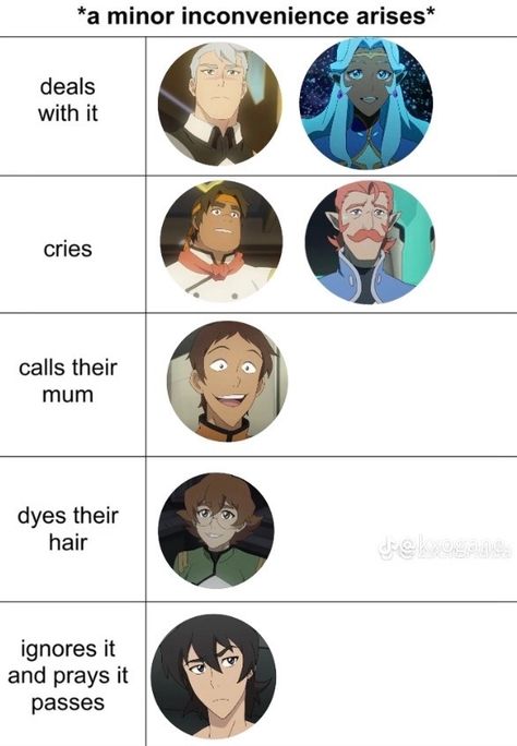 Pidge X Allura Voltron, Broganes Voltron, Voltron Fanfiction, Voltron Meme, Voltron Headcanons, Voltron Allura, Voltron Paladins, Batfamily Funny, Klance Comics