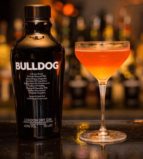 bulldog gin cocktail Bulldog Gin, Champagne Jewelry, Gin Cocktail Recipes, Gin Cocktail, London Dry Gin, Dry Gin, Gin Cocktails, Cocktail Recipes, Vodka Bottle