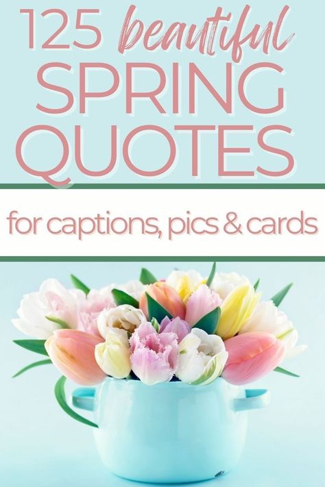 There’s just something special about the air in the springtime, and what better way to celebrate than with a collection of 125+ spring quotes? Whether you’re looking for some motivation to get moving or just want to take a moment to enjoy the season, these quotes are perfect for captions, picture, or cards and are sure to make you smile! #EasterCelebrations #EasterFashion #EasterFood #EasterDecor #EasterBrunch #EasterBaskets #Springtime #PastelColors #BunnyLove Quotes For Captions, Hello Spring Quotes, Springtime Quotes, Spring Message, Flower Quotes Inspirational, Spring Poem, April Quotes, Baby Captions, Air Quotes