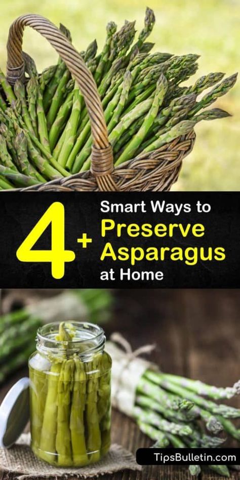 Preserving Asparagus, Spicy Pickled Asparagus Recipe, Canning Asparagus, Freezing Asparagus, How To Store Asparagus, Ways To Cook Asparagus, Pickled Asparagus, Food Preserving, Canning Vegetables