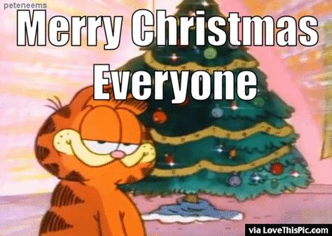 Natal, Christmas Tree Gif, Kids Christmas Movies, Garfield Christmas, Garfield The Cat, Christmas Tree Wallpaper, Garfield Cat, Merry Christmas Quotes, Aesthetic Christmas