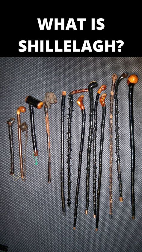 WHAT IS SHILLELAGH? https://lovetovisitireland.com/what-is-shillelagh/ Irish Walking Stick, Cool Walking Canes, Blackthorn Walking Stick, Unique Walking Sticks, Monster Mouth, Diy Knobs, Hiking Staff, Wooden Walking Canes, Hand Carved Walking Sticks