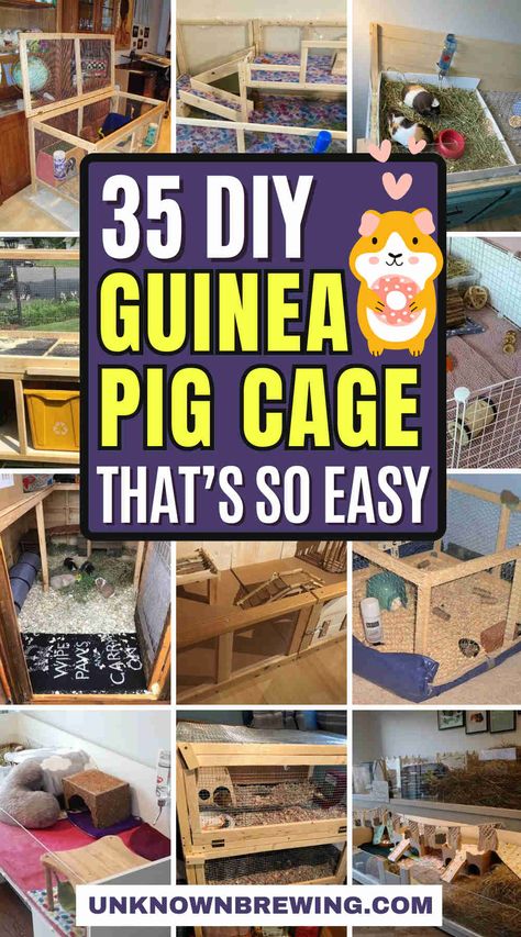 35 Creative DIY Guinea Pig Cage Ideas for Happy Pets Crochet Guinea Pig Accessories, Homemade Rabbit Cage, Indoor Guinea Pig Cage Ideas, Cute Guinea Pig Cage Ideas, Guinea Pig Cage Ideas, Diy Guinea Pig Toys, Indoor Guinea Pig Cage, Guinea Pig Run, Pig Habitat