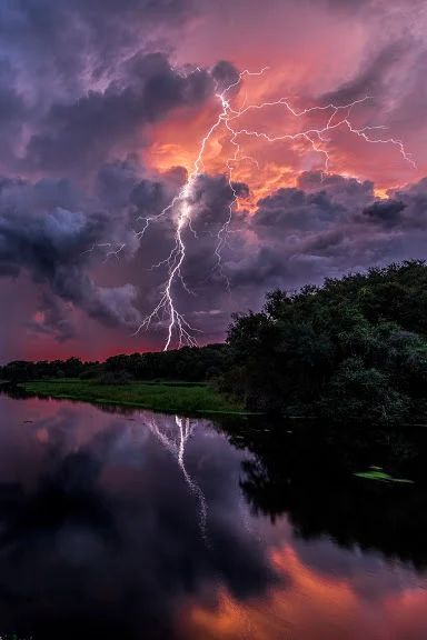 Wild Weather, Charcoal Drawings, Image Nature, Thunder And Lightning, Lightning Storm, Natural Phenomena, Beautiful Sky, Sarasota, Amazing Nature