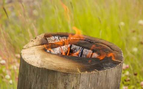 Is Burning a Tree Stump Safe? - Should you burn out a tree stump? Tree stumps are not easy to remove; many of the methods used can take quite a long to achieve just a small result.  Read more with link below! https://www.backyardcaring.com/is-burning-a-tree-stump-safe/ Stump Out, Tree Stumps Diy, Removing Tree Stumps, Stump Removal, Return Of Xander Cage, Diy Tree, Small Cabin, Tree Stump, Small Trees