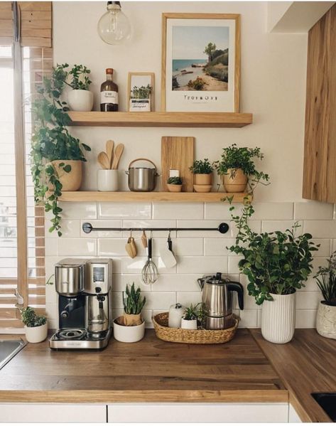 Plain Kitchen Wall Ideas, Countertop Coffee Station, Cute Containers, Rustic Cottage Kitchens, Kitchen Island Furniture, Coffee Station Ideas, Coffee Nook, Aesthetic Kitchen, Cute Kitchen