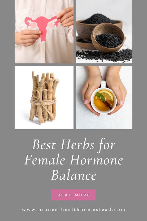 These are the best herbs for female hormone balance. These fantastic herbs are great for women’s health and to balance hormones. In this post I go over the basics of the endocrine system, what hormones are, endocrine system diseases, classes of herbs, the best herbs for female hormone balance, and some recipes to take these herbs for common ailments. Endocrine System Diseases, Female Hormone, The Endocrine System, Nutrition Drinks & Shakes, Health Gifts, Boost Testosterone, Nutrition Drinks, Adaptogenic Herbs, Balance Hormones