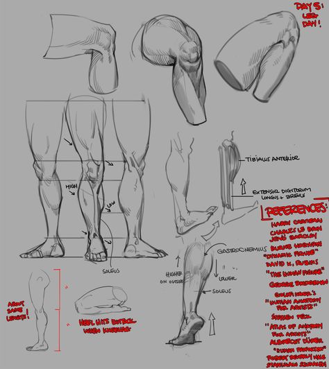 Male Hips, Male Anatomy Reference Drawing, Anatomy Reference Drawing, Male Anatomy Reference, Artist Tutorials, Male Anatomy, Manga Tutorial, Art Advice, Body Drawing Tutorial