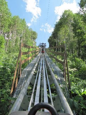 Alpine Coaster #travel Park City Utah Summer, Utah Summer, Alpine Coaster, Park City Ut, Utah Travel, City Vacation, Deer Valley, Park City Utah, Salt Lake City Utah