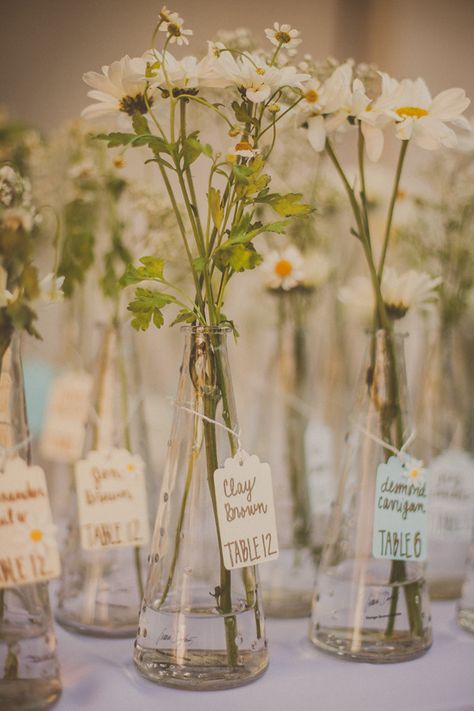 petite vase escort cards, photo by Yuna Leonard Photography http://ruffledblog.com/handcrafted-wedding-at-franciscan-gardens #seatingchart #escortcards Daisy Wedding Theme, Daisy Centerpieces, Franciscan Gardens, Daisy Baby Shower, Daisy Party, Daisy Wedding, Diy Wedding Flowers, Party Centerpieces, Cheap Wedding