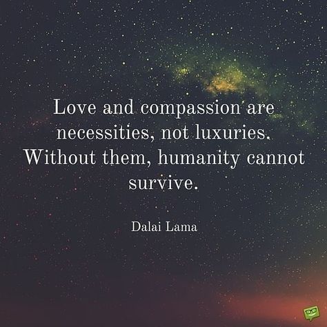 Ellie Monroe on Instagram: “It has come to my attention…” Compassion Quotes, Dalai Lama Quotes, Luxury Quotes, Humanity Quotes, Love And Compassion, Quotes About Life, Dalai Lama, Go For It, Self Compassion