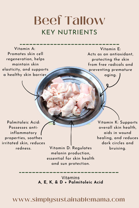 An infographic featuring a bowl of beef tallow with arrows pointing to various vitamins and minerals found in beef tallow, including Vitamin D for bone health, Vitamin K for blood clotting, Vitamin E for immune support, and conjugated linoleic acid (CLA) for weight management. Each nutrient is accompanied by a brief description of its role in promoting overall health and well-being, highlighting the diverse benefits of incorporating beef tallow into your diet." Beef Tallow Hair Mask, Beef Tallow For Hair, Beef Tallow For Skin Benefits, Benefits Of Beef Tallow For Skin, Benefits Of Tallow, Rendering Beef Fat For Tallow, Beef Tallow Benefits For Skin, Beef Tallow Skin Care, Tallow Benefits Skin Care