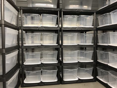 A storage unit organized with bins and shelving. Inventory Storage Home Business Space, Home Inventory Storage, Stock Room Organization Retail, Retail Storage Organization, Small Storage Unit, Storage Unit Office Ideas, Clothing Storage Shelves, Clothes Warehouse Storage, Clothing Store Storage