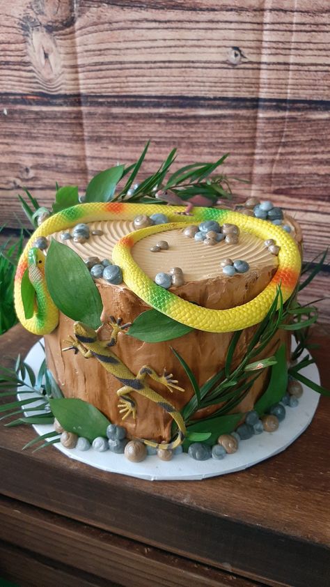 Rain Forest Birthday Cake, Rainforest Cake Birthday, Swamp Birthday Cake, Tropical Jungle Cake, Reptile Themed Birthday Cake, Rainforest Cake Ideas, Lizard Birthday Cake, Snake Cakes For Boys, Reptile Cakes For Boys