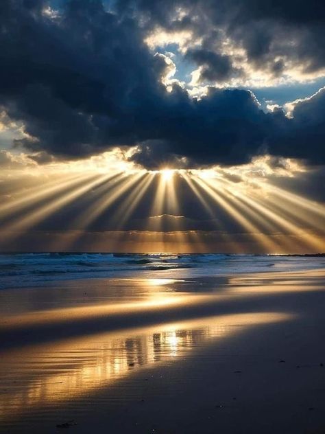 Night Peace, Crepuscular Rays, Peace Tree, Earth Photography, Sunrises And Sunsets, Wildlife Travel, Beautiful Ocean Pictures, Image Nature, Ocean Pictures