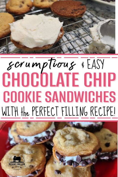 These chocolate chip sandwich cookies are so scrumptious, this will become a favorite recipe! Perfect for a special occasion dessert, but simple enough to make and assemble! And the buttercream frosting in the perfect balance to the chocolate chip cookie sandwiches! Perfect cookie recipe! Cream filled cookie! Chocolate Chip Cookie Sandwich, Chocolate Chip Sandwich Cookies, Chip Sandwich, Buttercream Frosting Cookies, Chocolate Chip Frosting, Baked Orange Chicken, Cream Filled Cookies, Sandwich Cookies Filling, Cookie Sandwich Recipes