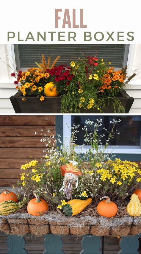 Add some autumn flair to your home with beautiful fall planter boxes. Perfect for windows and porches, these ideas will make your house the envy of the neighborhood. Get inspired with our decorating tips! Fall Trough Planter Ideas, Fall Rectangular Planter Ideas, Fall Windowbox Ideas, Window Box Decorating Ideas, Fall Planter Boxes, Autumn Window Boxes, Fall Window Boxes Ideas, Box Decorating Ideas, Fall Flower Boxes