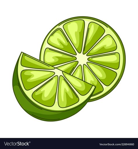 Lime Drawings, Lime Drawings Simple, Citrus Drawing, Fruit Illustration Art, Lime Slice Drawing, Citrus Fruits Drawing, Green Drawings, Lime Drawings Fruit, Matcha Sweater