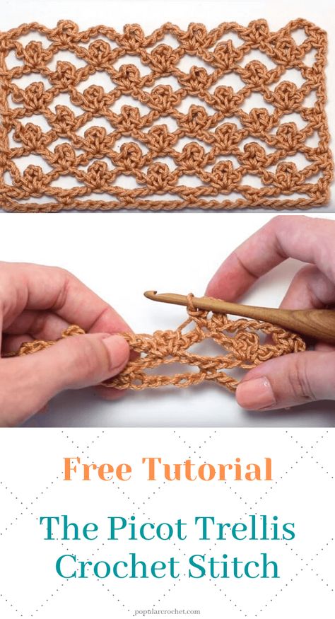 Picot Stitch Crochet, Trellis Crochet, Trellis Stitch, Picot Crochet, Picot Stitch, Crochet Project Free, Popular Crochet, Crochet Shell Stitch, Crochet Fringe