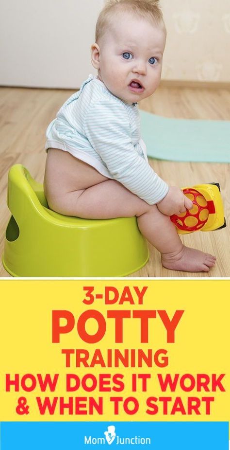 MomJunction tells you about the efficient three-day potty training routine. Here, we will guide you through the training process and clear any doubts you may have about it. #toddlers #pottytraining  #adviceformoms #motherhood #babies Best Potty Training Seat, Three Day Potty Training, Potty Training Girls, Toddler Potty, Potty Training Boys, Toddler Potty Training, Potty Training Tips, Baby Life Hacks, Baby Puree