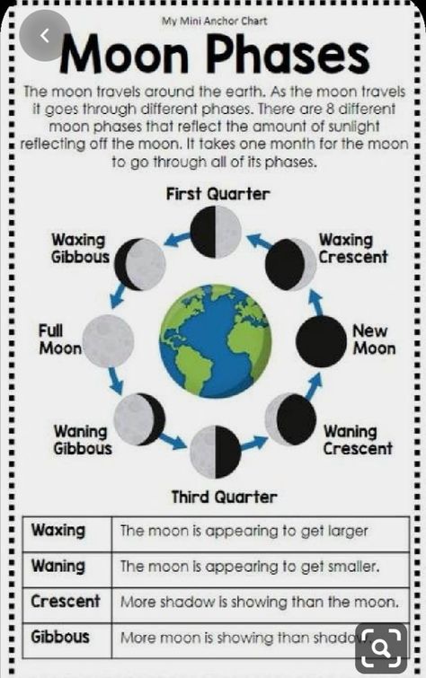 Moon Phases Anchor Chart, Moon Science, Science Posters, Science Anchor Charts, 1st Grade Science, Science Space, 4th Grade Science, 6th Grade Science, 5th Grade Science