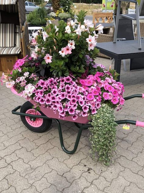 Wheelbarrow Planter Ideas, Wheelbarrow Planter, Wheelbarrow Garden, Lights Patio, Unique Garden Decor, Unique Garden Art, Front Yard Landscaping Diy, Cheap Patio, Front Yard Garden Design