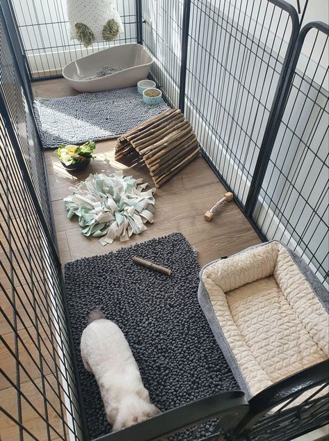 Bunny Cage Accessories, Bunny Playpen Ideas, Rabbit Playpen Indoor, Cheap Rabbit Cage Ideas, Aesthetic Bunny Setup, Rabbit Cage Setup Indoor, Rabbit X Pen Setup, Rabbit Set Up Indoor Aesthetic, Rabbit Playpen Ideas