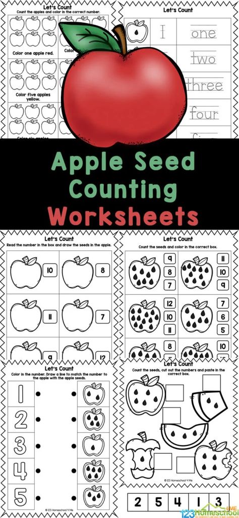 Grab these apple counting worksheets to work on number recognition and counting skills while strengthening fine motor skills during September! These fun and FREE apple worksheets are perfect for preschool, pre-k, and kindergarten age students. Simply print and you are ready for some apple math with a no-prep apple seed counting activity! Preschool Apple Counting Activities, Apple Facts For Preschool, Apple Activity Kindergarten, Apple Science Kindergarten, Apple Counting Worksheet, Counting Apples Free Printable, Apple Math Kindergarten, Apple Math Centers Kindergarten, Apple Seed Counting