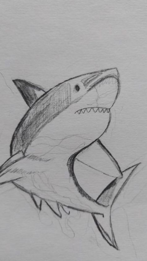 Sketches Sea Creatures, Cute Aquatic Animals Drawings, Aesthetic Shark Drawing, Cute Shark Sketch, Shark Sketch Easy, Marine Animals Sketch, Ocean Animals Sketch, Drawing Ideas Ocean Animals, Marine Life Sketches