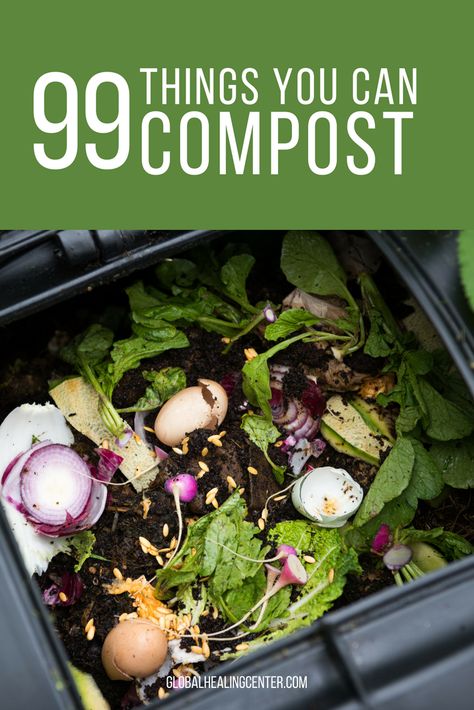 Composting Bin, Plantarea Legumelor, Banana Peels, Compost Pile, Composting At Home, Garden Compost, Astuces Diy, Veg Garden, Potato Skins