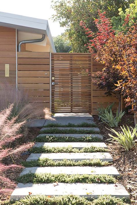 Eichler Home-Klopf Architecture-23-1 Kindesign Hydrangea Petiolaris, Modern Fence Design, Concrete Walkway, Eichler Homes, California Modern, Front Yard Fence, Modern Fence, Casa Exterior, Backyard Fences