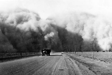 The Impact of the Dust Bowl on the Environment Dust Bowl, Dust Storm, No Rain, Modern History, Us History, South Dakota, Green Living, The Guardian, National Geographic