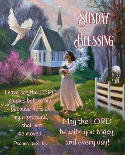 10 Blessed Sunday Quotes To Keep Blessings In Your Life Blessed Sunday Quotes, Quotes Sunday, Sunday Greetings, Sunday Blessings, Good Morning Happy Friday, Happy Sunday Quotes, Blessed Sunday, Sunday Quotes, Blessed Quotes