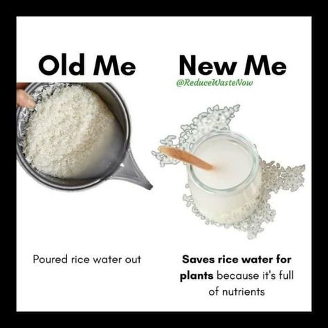 Old Me Vs New Me, Old Me New Me, Prevent Food Waste, Environmentally Friendly Living, Plant Hacks, Rice Water, Reduce Food Waste, Eco Friendly Living, Plant Mom