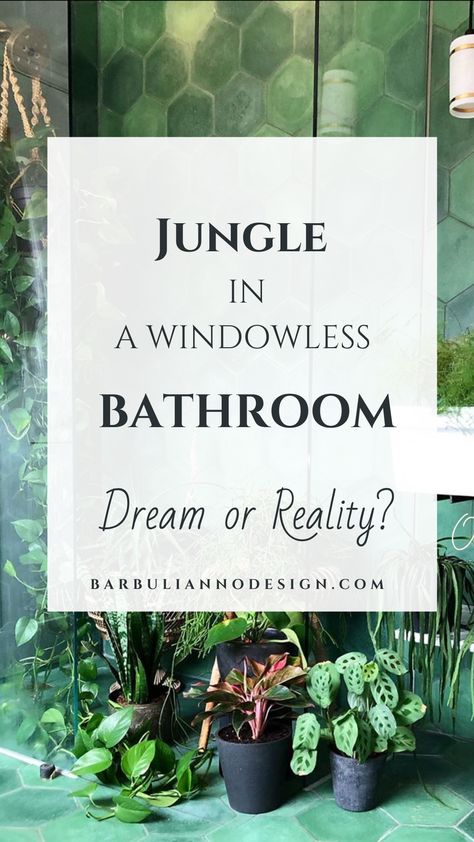 Plants For A Bathroom, Bathroom Plants No Sunlight, Bathroom Without Windows, Indoor Plants Bathroom, Bathroom Plants Decor, Best Bathroom Plants, Windowless Bathroom, Plants Bathroom, Bathroom Plants